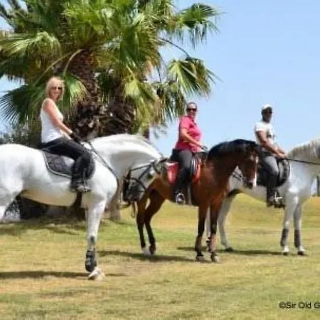 In Amarilla Golf 2 Bedrooms San Miguel de Abona